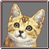 shoe the cat