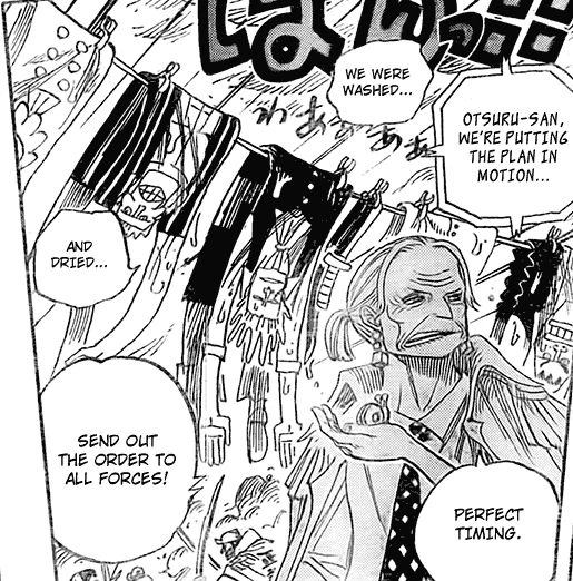 Tsuru one piece