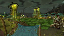 Kajaro Field