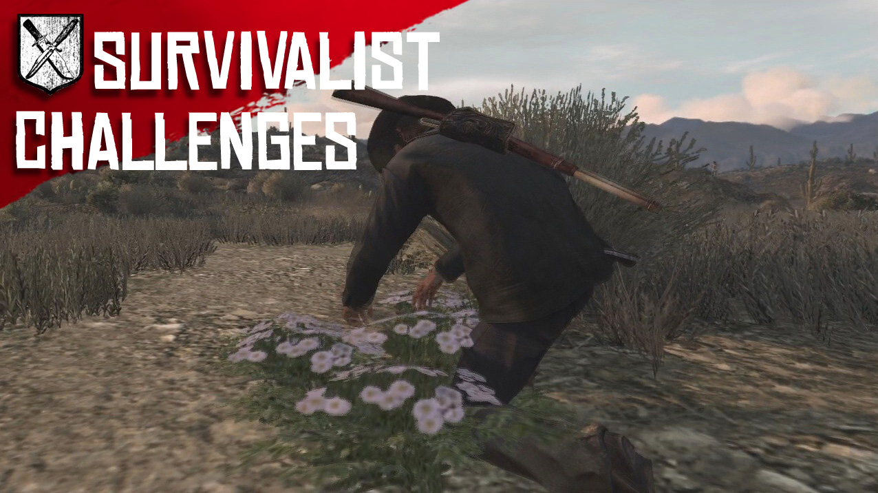 Rdr survivalist challenges