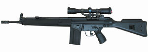 Heckler & Koch HK91