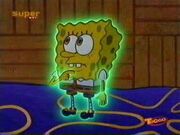 Bigplankton