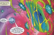 DWA CS 182 The Wormhole of Calibri