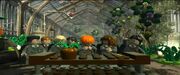 Greenhouse I