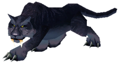 Panther