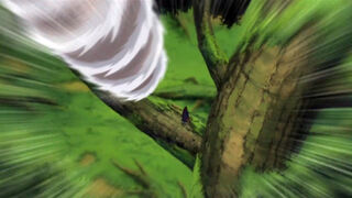 http://img2.wikia.nocookie.net/__cb20100918195034/naruto/pl/images/thumb/8/80/Tsuga.jpg/320px-Tsuga.jpg