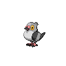 Pidove NB