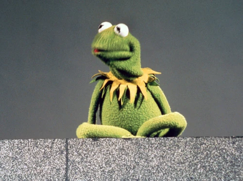 Kermit the Frog Through the Years Muppet Wiki Wikia