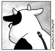 Arakawa Hiromu