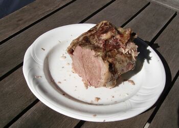 Solar Nest cooked meat