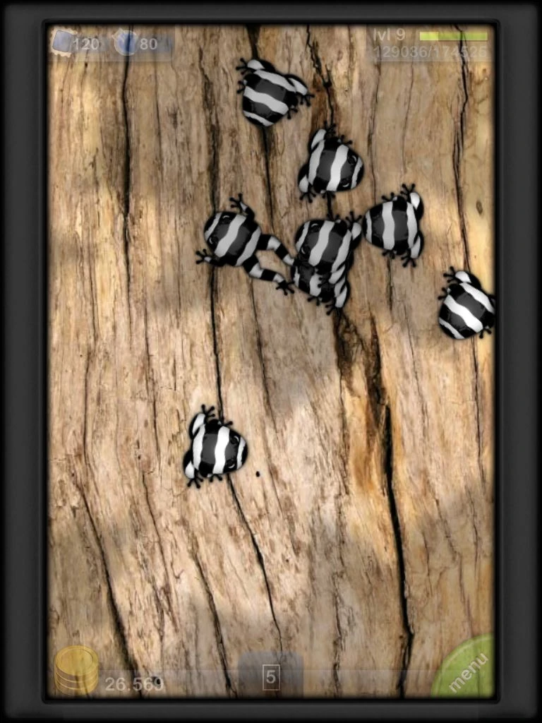 Photo ott 01, 10 46 27 m.