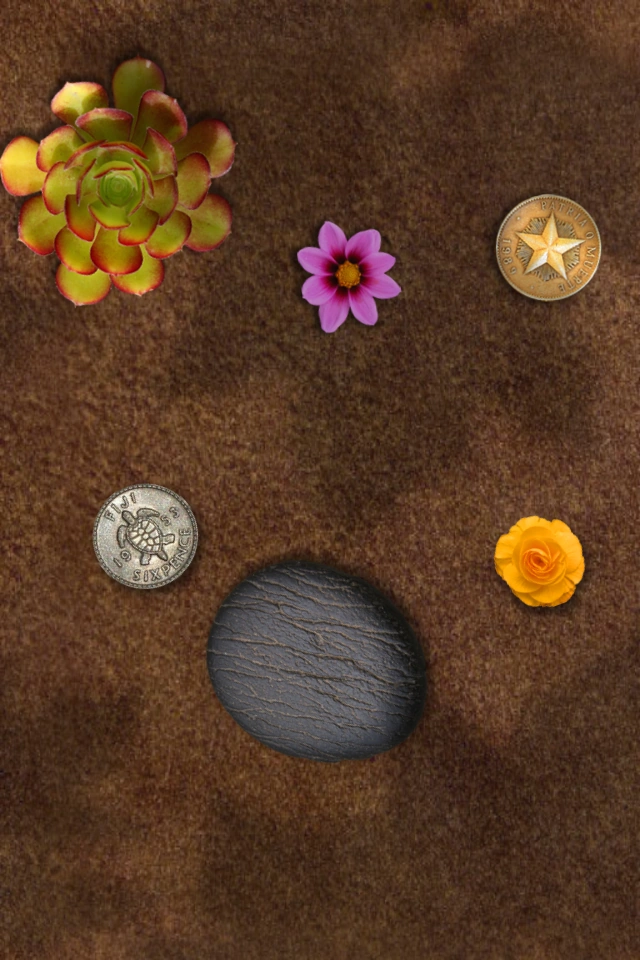 Scenery Pocket Frogs Wiki