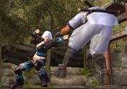 Christie vs. Hayate
