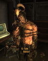 FNV Daniel