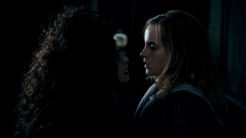 Hermione bellatrix