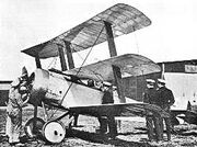 Mexico triplane