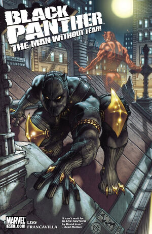 300px-Black_Panther_The_Man_Without_Fear_Vol_1_513.jpg
