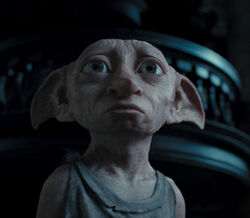 250px-Dobby_HP7.jpg