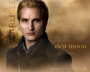 New-moon-wallpaper-carlisel