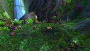 Bolyun'sCamp