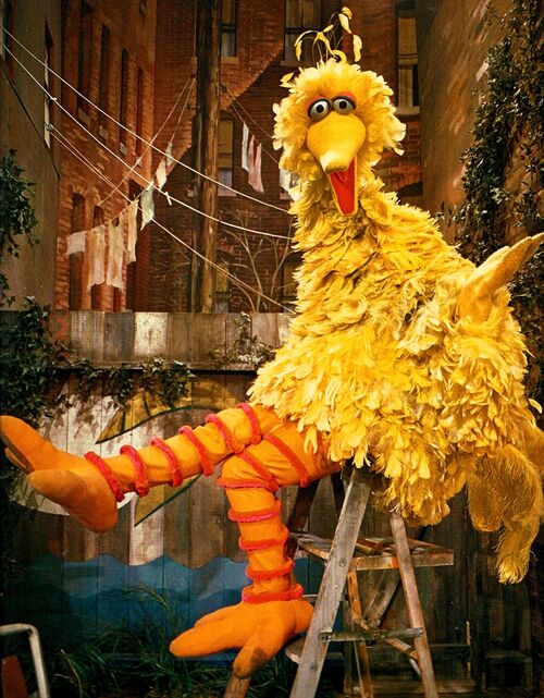 Big Bird Through The Years - Muppet Wiki - Wikia