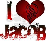 ImagesCAQRRB2J