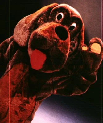 ... eyes are now in a dog way, ...