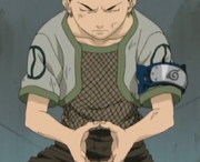 ShikaDenk01