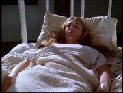 7x10-Sheridan