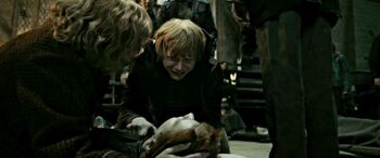 DH2 The Weasleys beside dead body of Fred