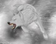 White Wolf WIP by KayFedewa1