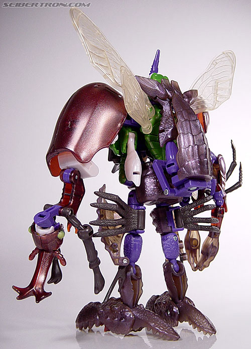 tripredacus toy
