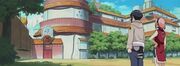 Academia
