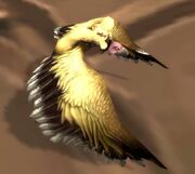 Gold Mini Jouster 1