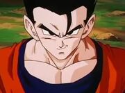 Mr. Gohan