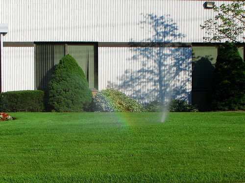 rainbow tunnel sprinkler