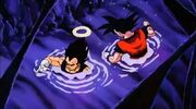 In Buu's Body