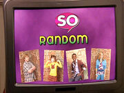 Steve-marmel-so-random