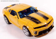R bumblebee021