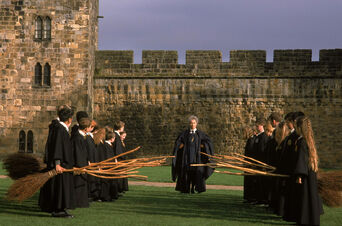 Flying lesson with Madam Hooch