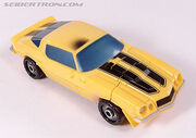 R bumblebee018
