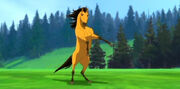 Spirit.stallion