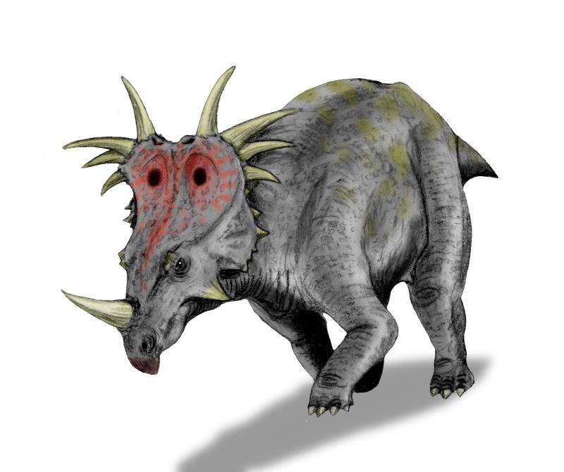Styracosaurus_BW.jpg