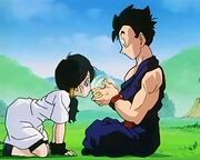 GohanTeachesVidel