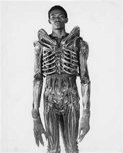 BolajiBadejo