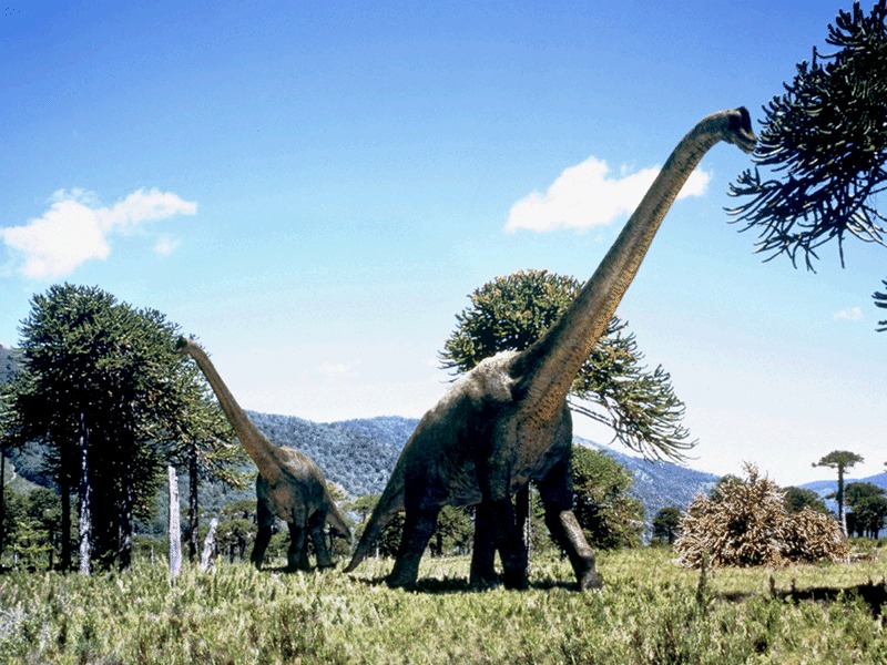 dinosaur with long neck that eats plants