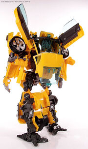 R habumblebee079