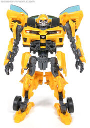 R bumblebee-066