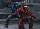 Alg halo-reach-beta