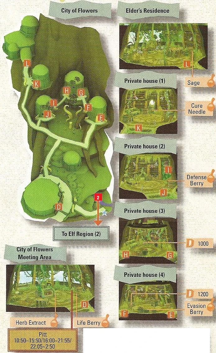 City of Flowers Radiatapedia